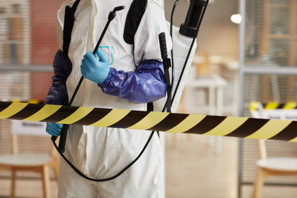 Professional Hoarding Cleanup technician working in Brockton, MA